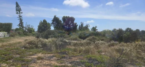 Sold – Clairemont Land