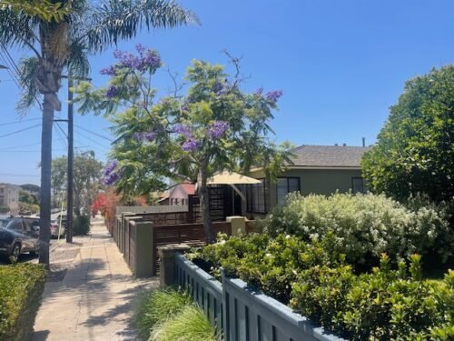 For Sale – North Park